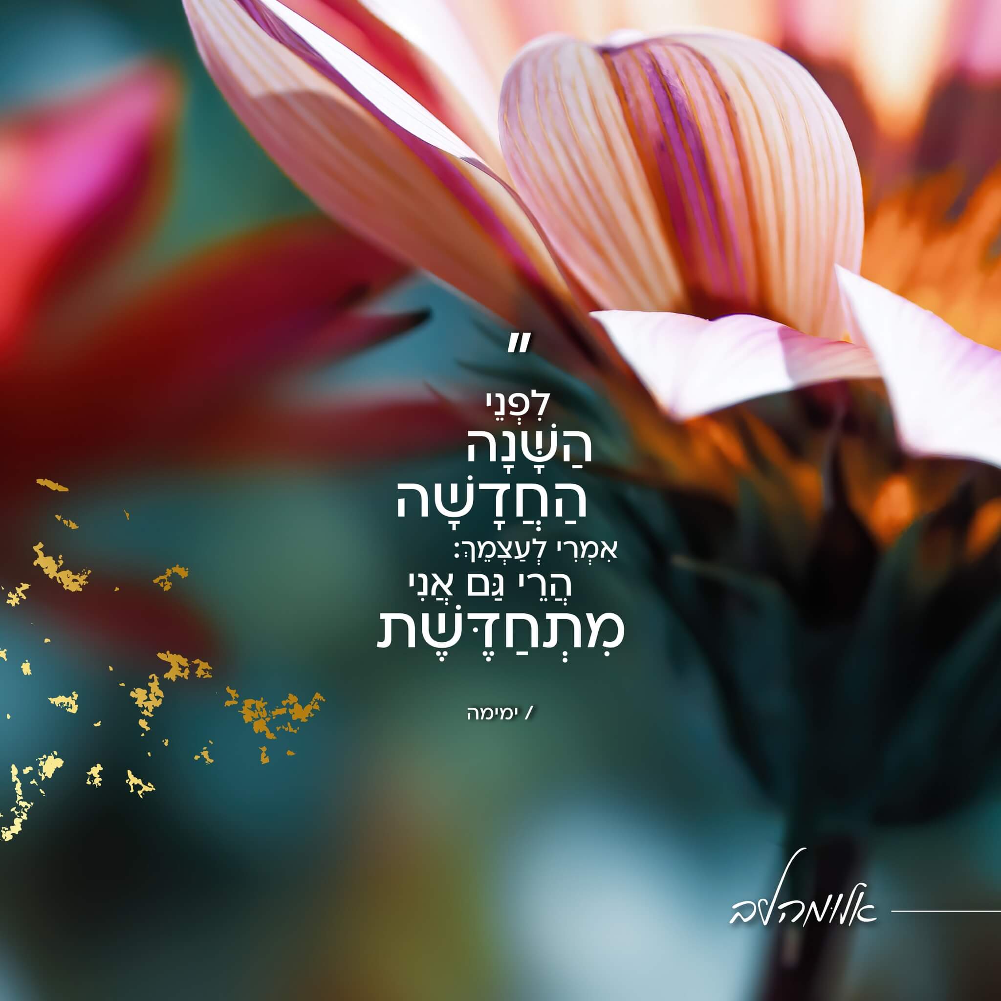 התחדשות - אלומה לב - יום הבלוג הבינלאומי - זמן איכות - בלוג הטיולים של דנה סתוי