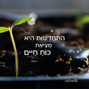 Read more about the article יום הבלוג הבינלאומי: 10 יוצרים ויוצרות ומדריכי סיורים שכדאי לעקוב אחריהם