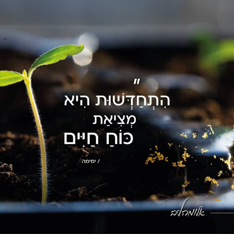 אלומה לב - התחדשות היא מציאת כוח חיים - הרבנית ימימה אביטל זצל