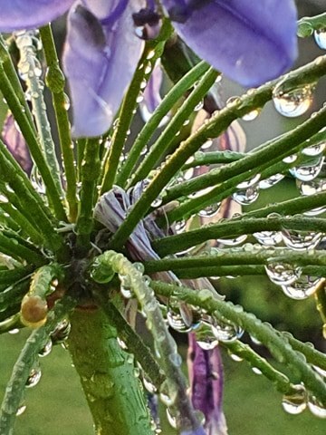 עמוק בטל - רמלה