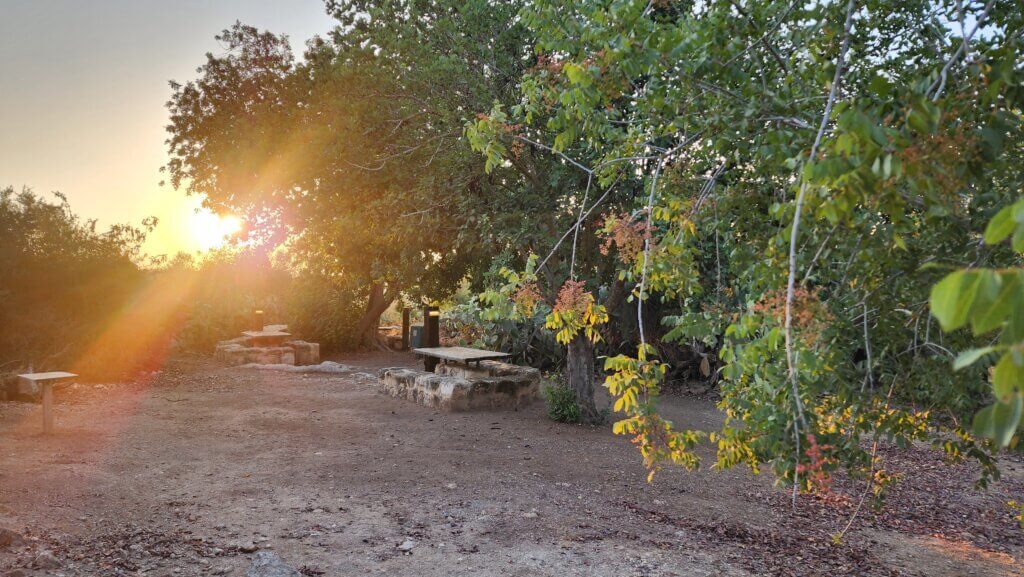 שולחנות וספסלי פיקניק בגן לאומי בית גוברין - צילום - דנה סתוי