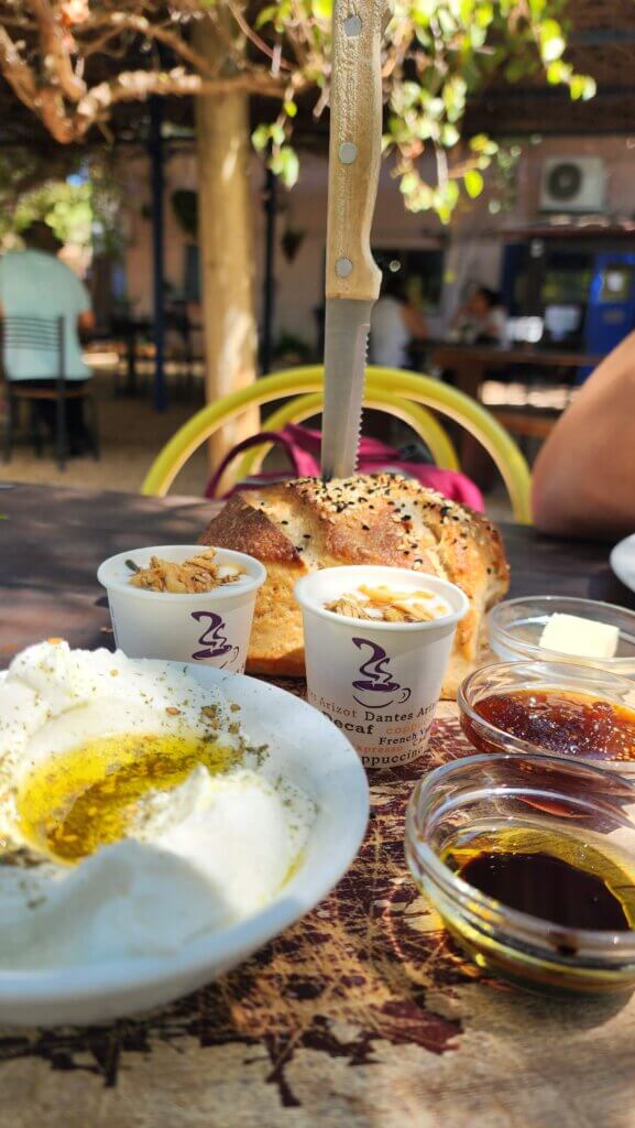 לבנה וזעתר טריים ויוגורט עיזים משגע בעין כמונים - צילום - דנה סתוי