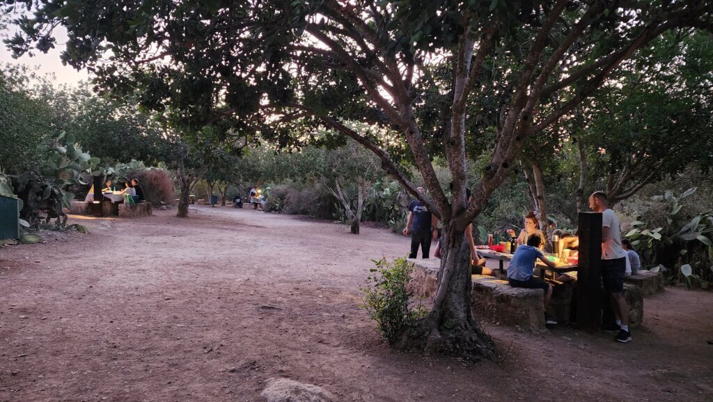 פיקניק בגן לאומי בית גוברין - צילום - דנה סתוי